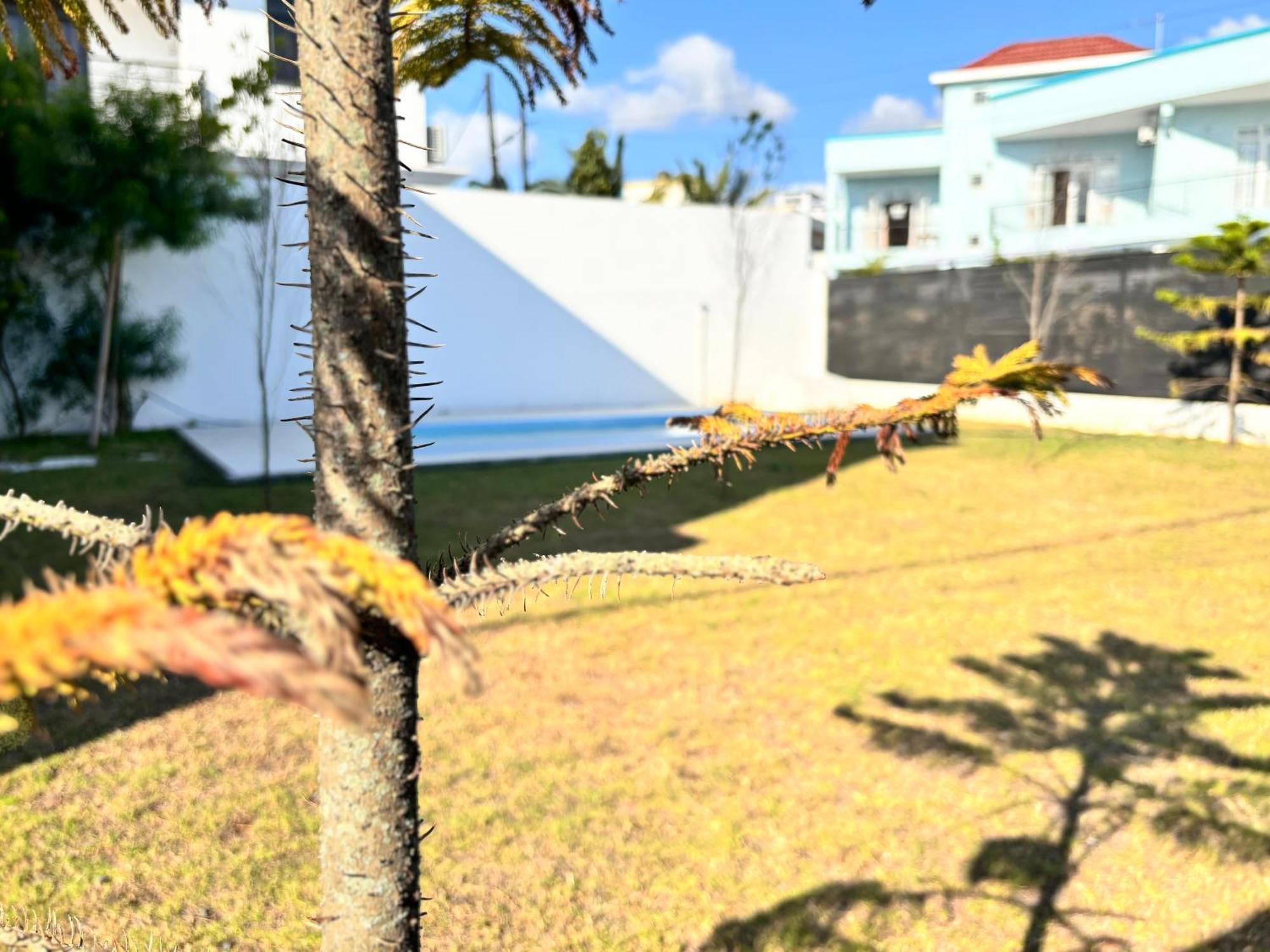 Maison Mont Choisy - One Or Two Bedrooms Apartment Тру о Биш Екстериор снимка